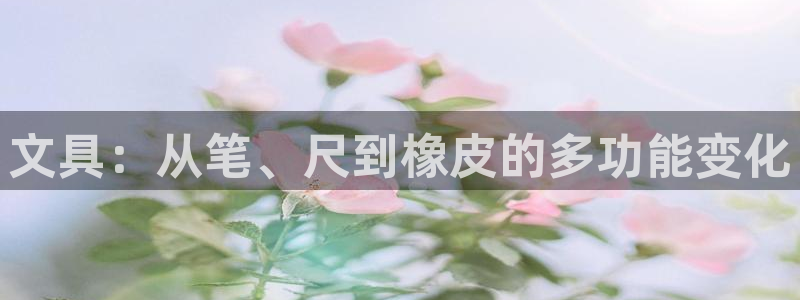 彩名堂免费计划官网怎么进不去了呀：文具：