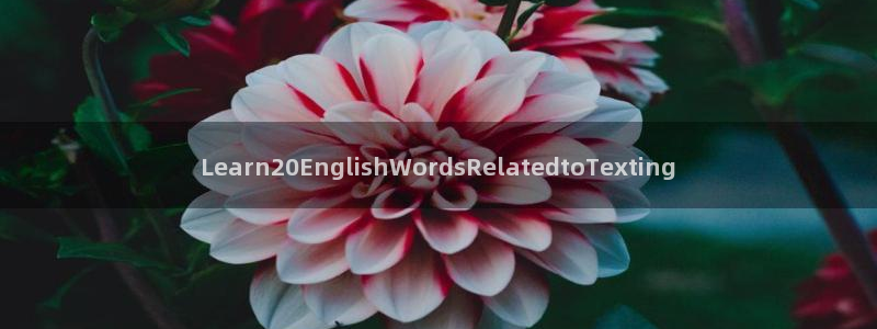 彩名堂官网在线计划：Learn20Eng