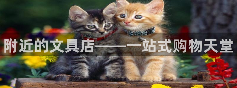 彩名堂开奖结果查询：附近的文具店——一站