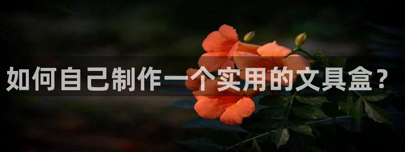 彩名堂怎么用不输：如何自己制作一个实用的