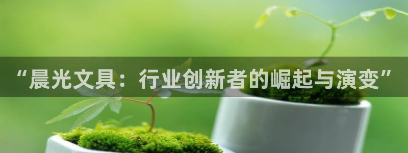 彩名堂怎么打不开了：“晨光文具：行业创新