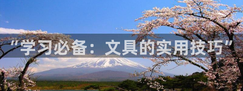 最新彩名堂计划：“学习必备：文具的实用技