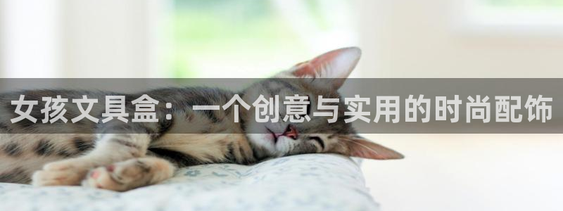 彩名堂为什么突然不能用了：女孩文具盒：一