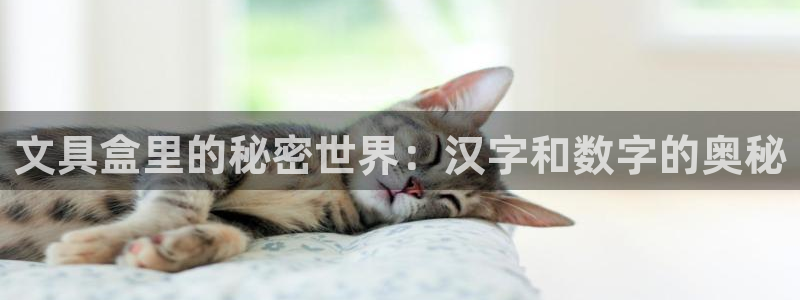 彩名堂跟哪种最好用：文具盒里的秘密世界：