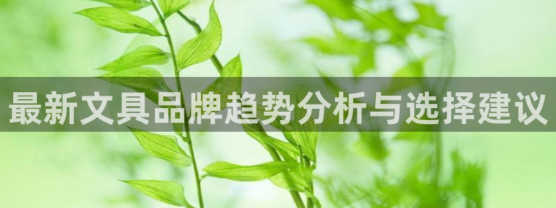 彩名堂计划和01计划怎么很稳：最新文具品
