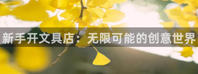 彩名堂和01计划哪个好：新手开文具店：无