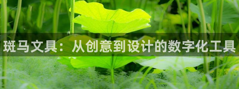 老版彩名堂：斑马文具：从创意到设计的数字