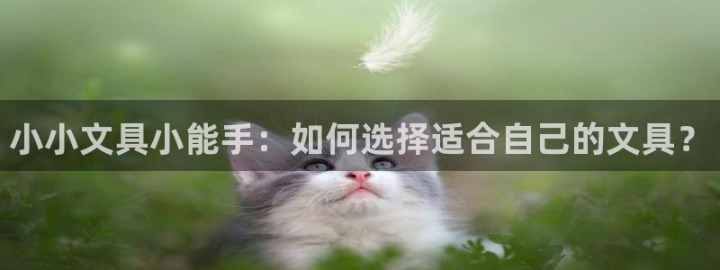 最新彩名堂计划：小小文具小能手：如何选择