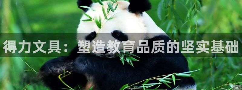 彩名堂免费计划官网怎么进不去了呀：得力文