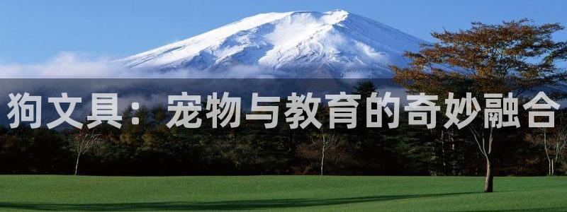 彩名堂安卓客户端官网下载：狗文具：宠物与