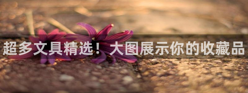 彩名堂手机版官网：超多文具精选！大图展示