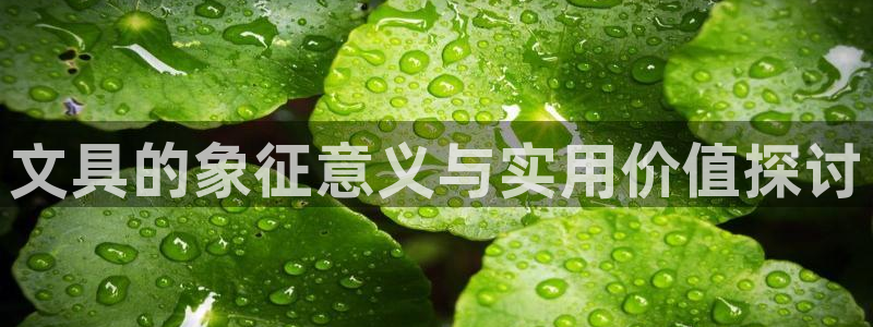 彩名堂好用还是千里马好用：文具的象征意义