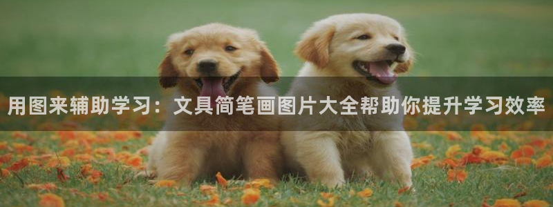 下载彩名堂预测计划软件安装：用图来辅助学