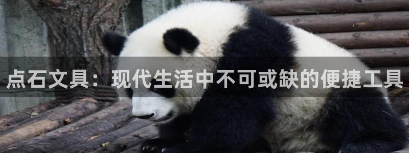 彩名堂预测软件：点石文具：现代生活中不可