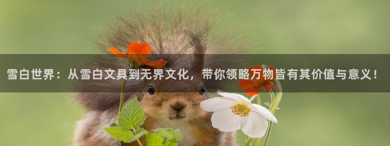 彩名堂加拿大怎么买准确率高：雪白世界：从