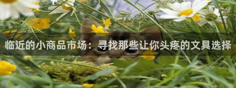 彩名堂免费计划官网怎么进不去了：临近的小