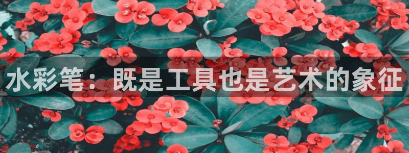 彩名堂计划怎么看：水彩笔：既是工具也是艺