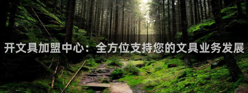 彩名堂移动客户端怎么下载：开文具加盟中心