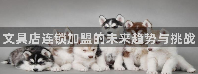 彩名堂客户端官网：文具店连锁加盟的未来趋