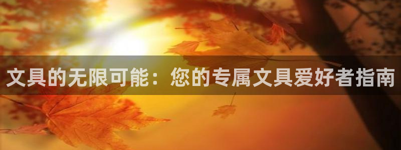 彩名堂app官网：文具的无限可能：您的专