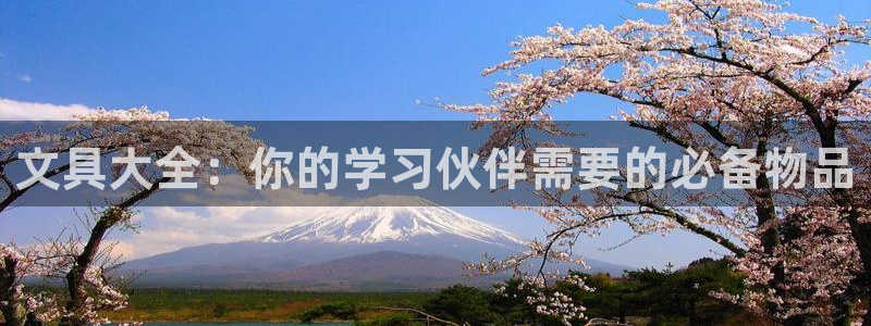 彩名堂计划app新版：文具大全：你的学习