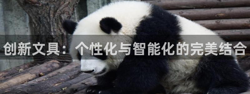 彩名堂怎么买准确率高一点：创新文具：个性