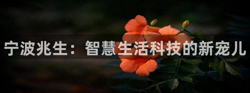 彩名堂人工预测免费计划：宁波兆生：智慧生