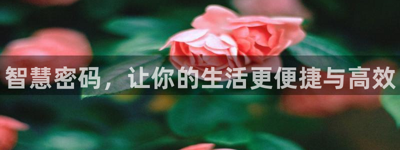 彩名堂手机客户端怎么下载：智慧密码，让你