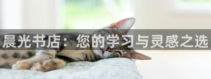 彩名堂计划怎么出的：晨光书店：您的学习与