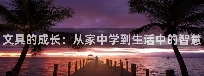 彩名堂最新免费计划官网：文具的成长：从家