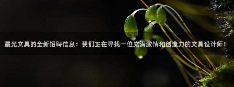 彩名堂为什么用不了了：晨光文具的全新招聘