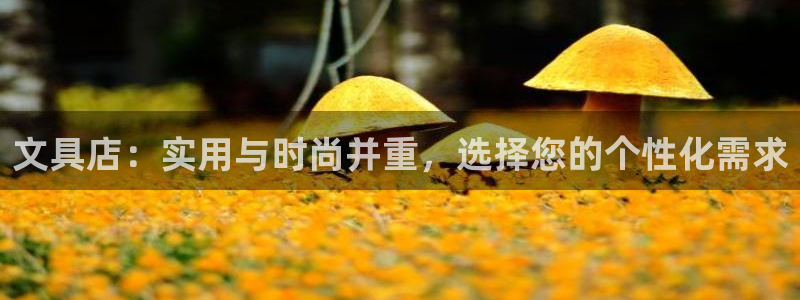 彩名堂预测官网：文具店：实用与时尚并重，