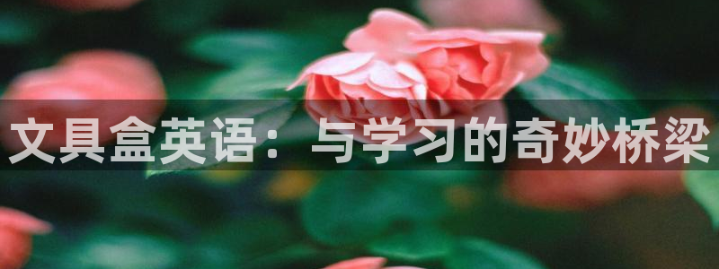 彩名堂排三：文具盒英语：与学习的奇妙桥梁