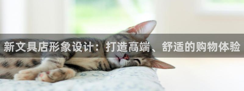 彩名堂官网网页计划：新文具店形象设计：打