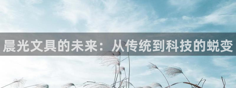 彩名堂免费计划官网5 0：晨光文具的未来