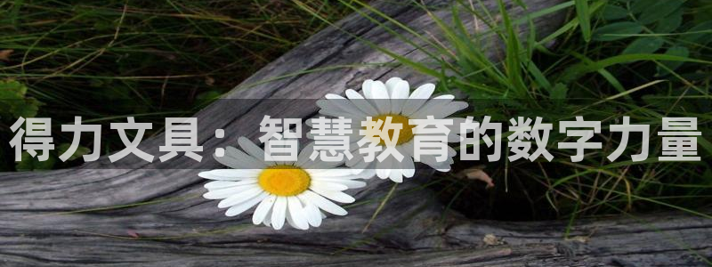 彩名堂app计划官方网站：得力文具：智慧