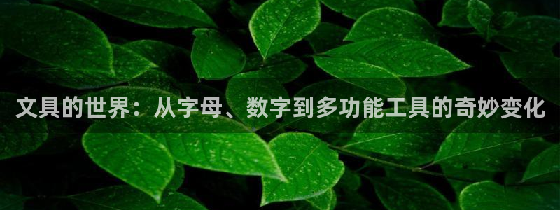 彩名堂免费计划软件下载：文具的世界：从字