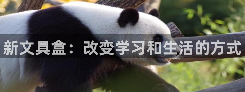 彩名堂免费计划官网怎么进不去了呢：新文具