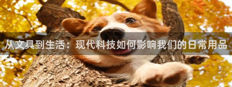 彩名堂怎么买准确率高：从文具到生活：现代
