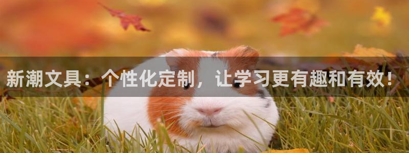 彩名堂一直不出结果怎么回事：新潮文具：个