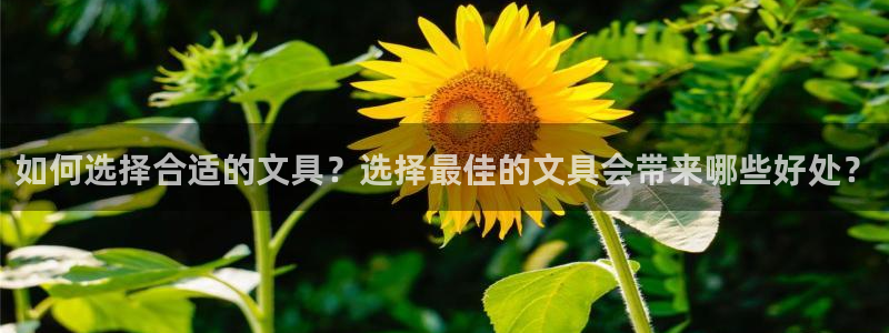 彩名堂彩：如何选择合适的文具？选择最佳的