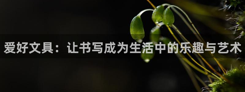 彩名堂改名稻草人了吗知乎：爱好文具：让书