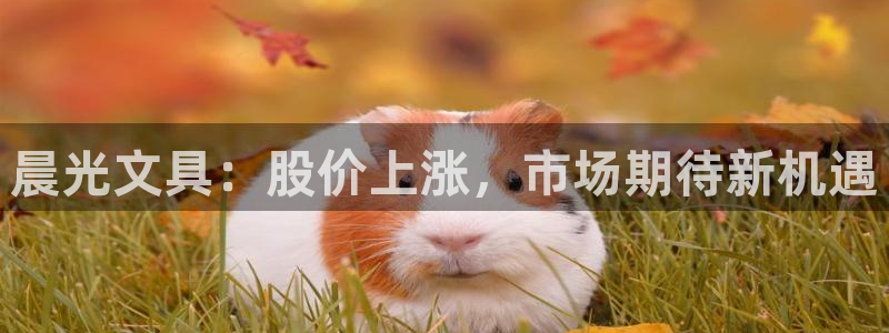 彩名堂预测官网：晨光文具：股价上涨，市场